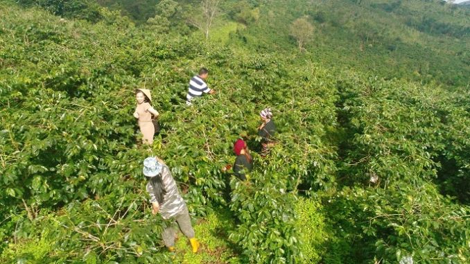 Cà phê Hướng Phùng Ảnh Nguyễn Bích Chi