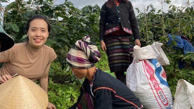 Cà phê Khe Sanh 2 Ảnh Nguyễn Bích Chi